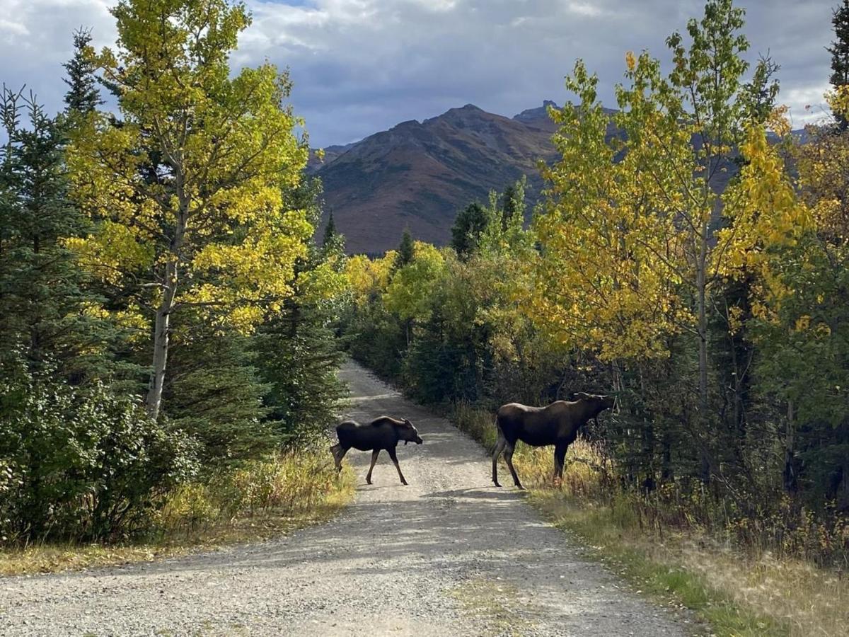 Denali Park View Family Log Cabin ภายนอก รูปภาพ