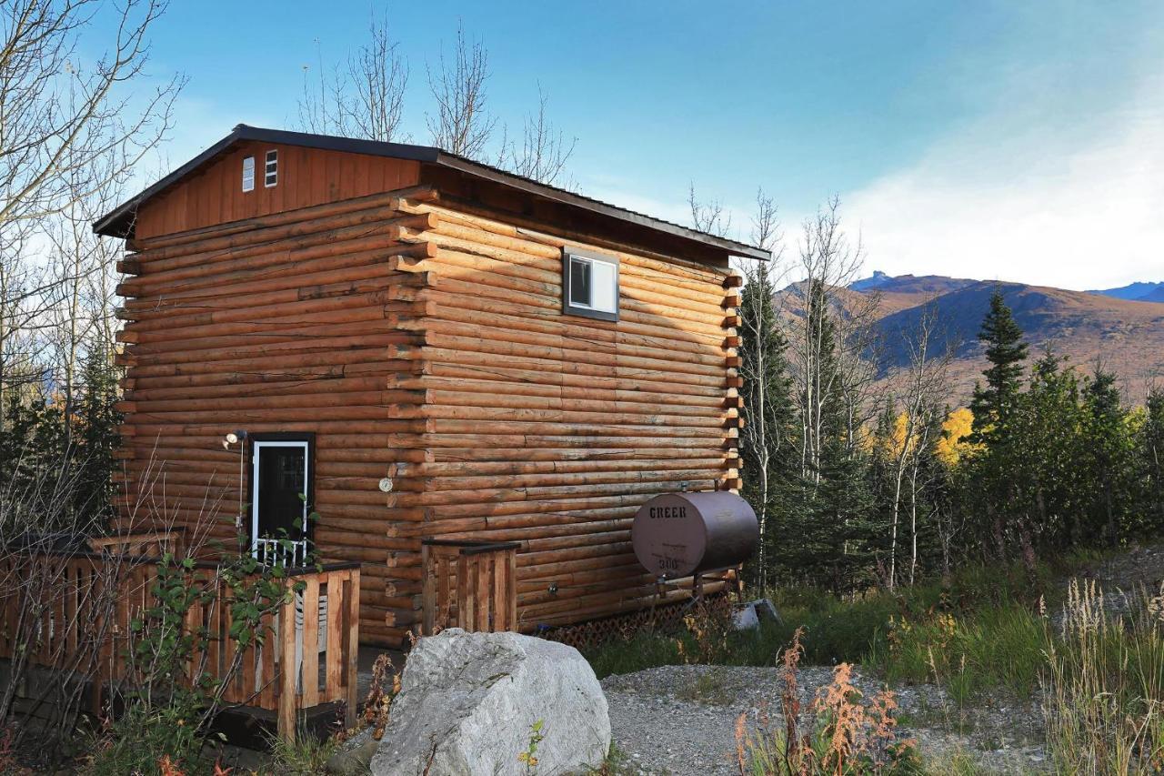 Denali Park View Family Log Cabin ภายนอก รูปภาพ